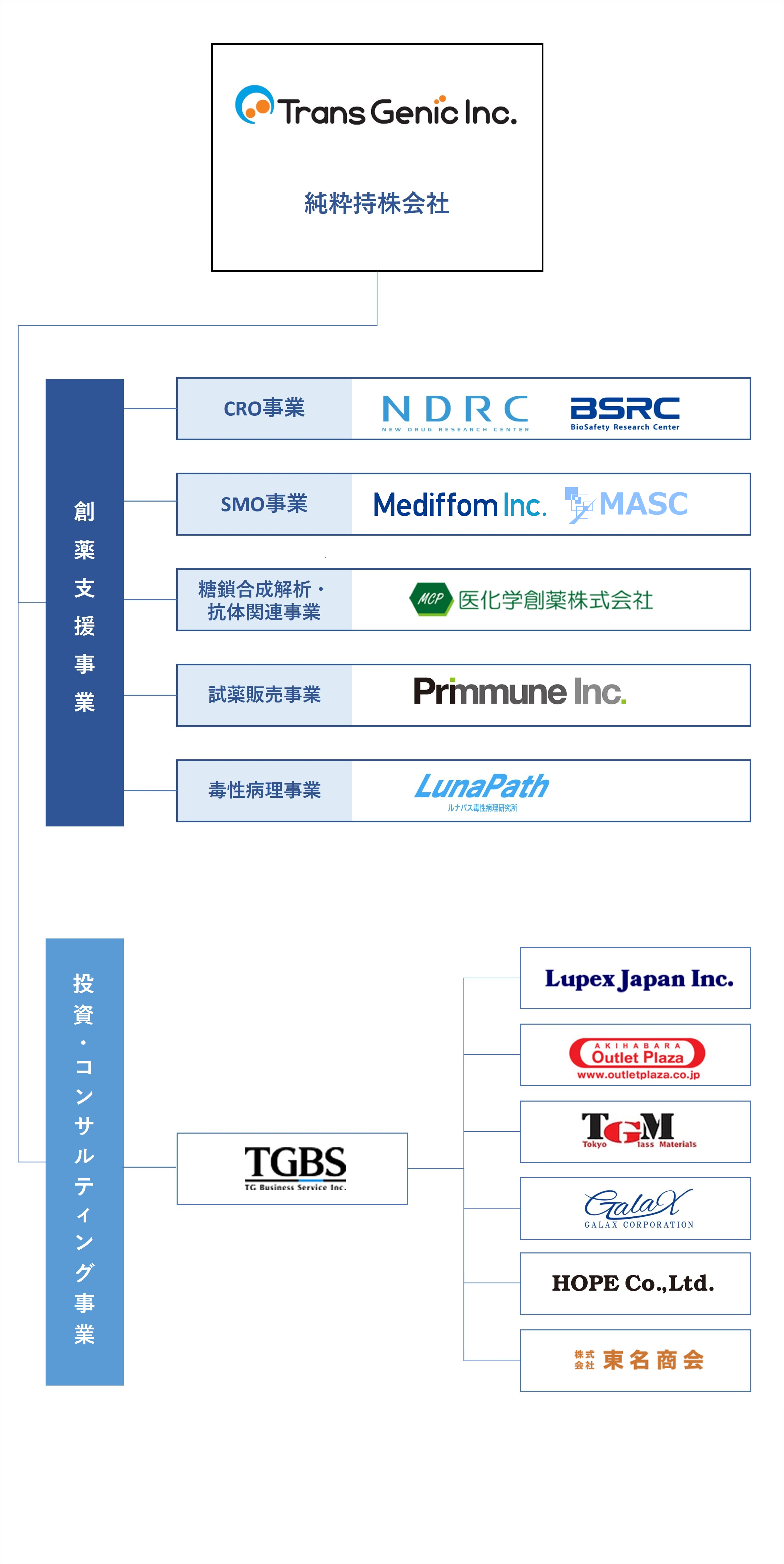 ジェノミクス事業：Trans Genic Indから、大きくバイオ事業と投資コンサル事業の2つに分かれている。バイオ事業...CRO事業：NDRC BSRK、SHO事業：Mediffom Inc、糖鎖合成解析事業：医化学創薬株式会社、試薬販売事業：Primmune Inc、投資コンサル事業...TG Business Service Inc、Tokyo Glass Materials、akihabara Outlet Plaza、Lupex Japan Inc.